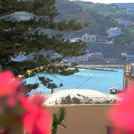 Maridea - Marlin * 蓬扎