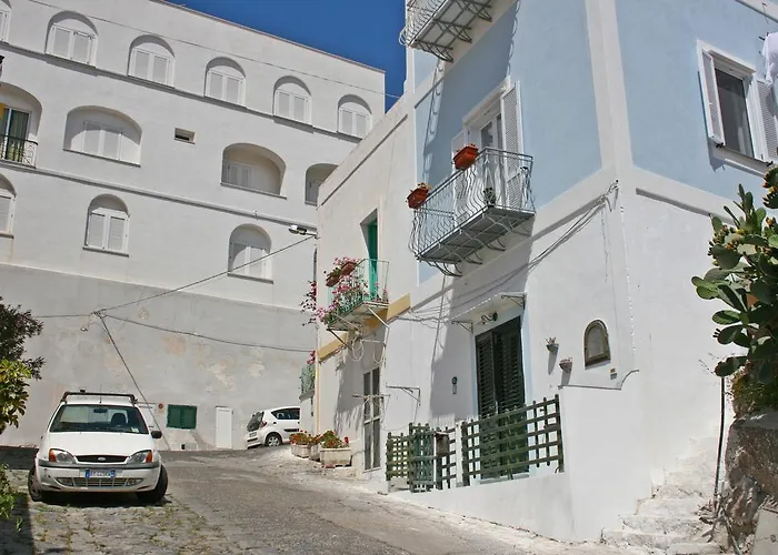 Maridea - Marlin 蓬扎