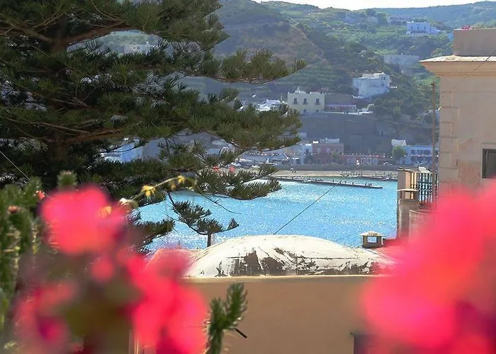 Maridea - Marlin * 蓬扎